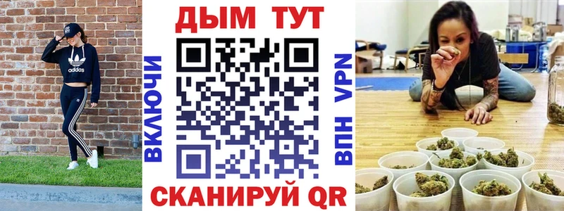 Канабис сатива  Сухиничи 